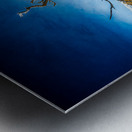 Isolated Serenity: Rows End Metal print