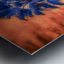 Radiant Dusk: Capturing the Charm of Inverness Florida Metal print