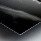 Desert Ballet of Metallic Steeds Metal print