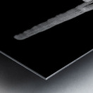 Vertical Echoes in a Desert Canvas Metal print