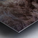 Mystic Waters Metal print