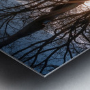 Stand Together Move Forward: North Carolina at Gettysburg Metal print