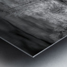 Off Shore Bald Cypress Metal print