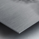 Winters Solitude Metal print