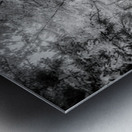 Path Through the Enchanted Forest Metal print