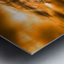 Guardians at Dusk Metal print