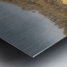 Stockade Lake Tree Island Metal print