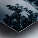 Whispers of Enchantment: The Pine Tree Guardian of the Lakes Edge Metal print