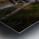 Exploring Sylvan Lake: Capturing the A Bent Aspen Metal print