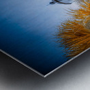 Whispers of Light: Hidden Light Metal print