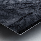 Mystical Reverie: Infrared Wonders of Abbotts Mills Swamp Vista Metal print