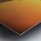 Urban Oasis: Ocala Florida Metal print