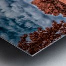 Barn Drive Metal print