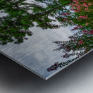 Crepe Myrtles Pathway Metal print