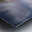 Big Brother Metal print