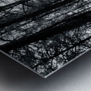 Wandering Through Wonderland: A Mystical Path Along Center Lakes Shores Metal print