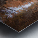 Autumn Gorge Metal print