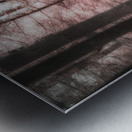 Pink Path -1 Metal print