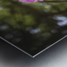 Rhodie - 1 Metal print