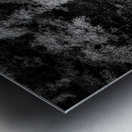 A Forest Reflection: Tims Ford State Park Metal print