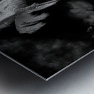 Tiki Picnic Metal print