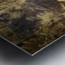 Serenity Unveiled: A Journey Up Grace Coolidge Creek Metal print