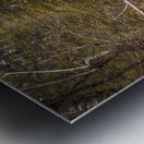 Enchanting Cascades: A Hikers Discovery Along Grace Coolidge Creek Metal print