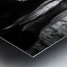 Hoofed Elegance: Exploring Intricate Details Metal print