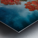 Vivid Autumn Chronicles: Discovering Appomattox Courthouse Town Metal print