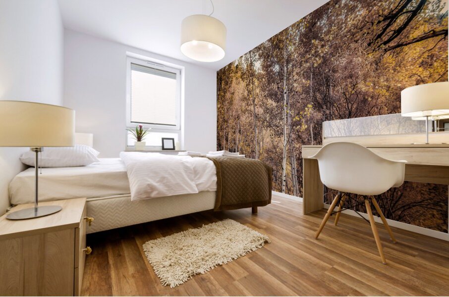 Serenade of Fall Foliage Mural print