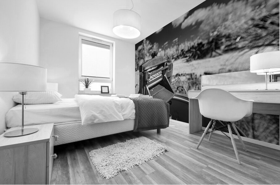 Rustic Relic - Old Washing Machine Mural print