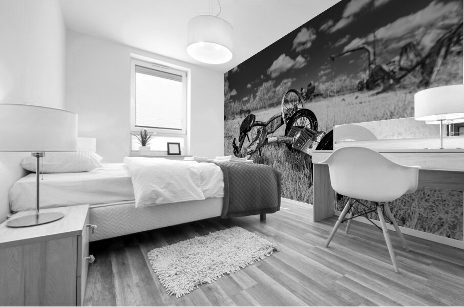 Rustic Relic - Broken Trike Mural print