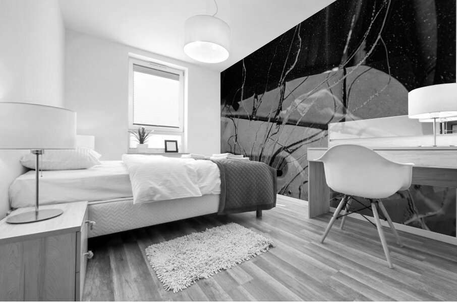 Rustic Relic - Cracked Vision Mural print