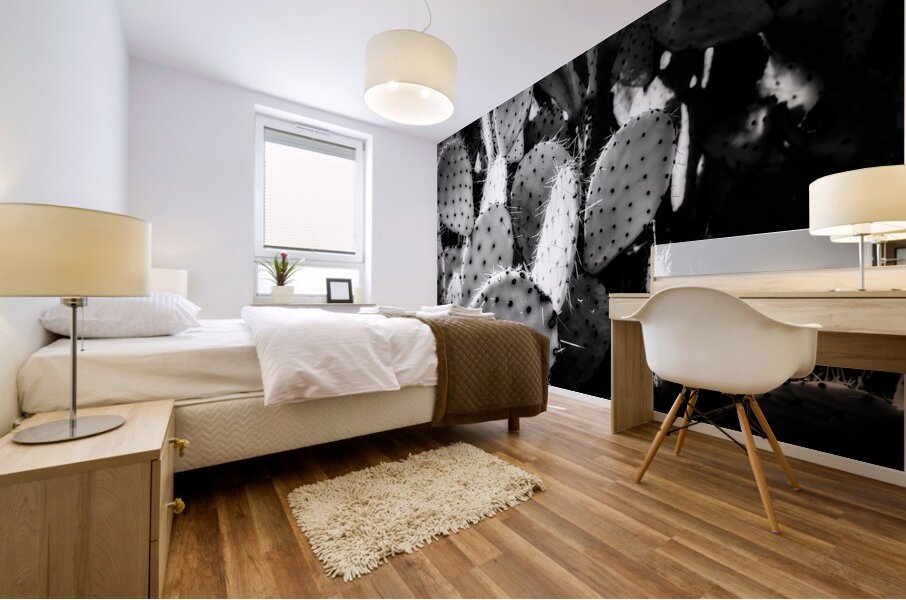 Textures of the Desert Mural print