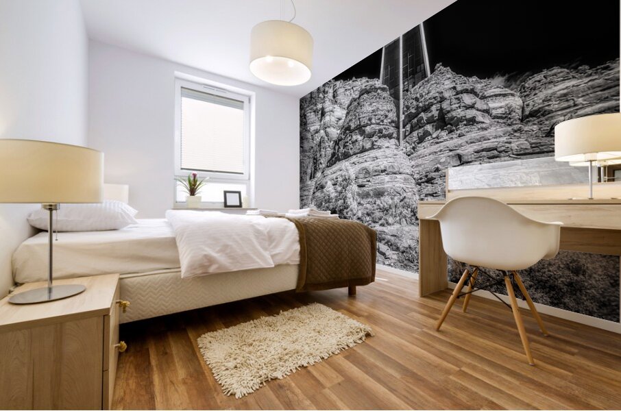 Surreal Stillness in Sacred Shadows Mural print