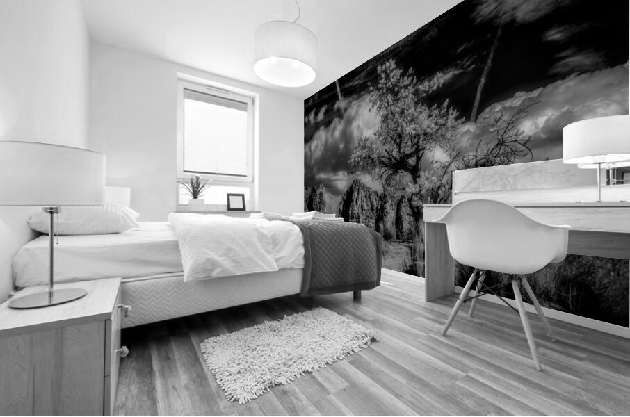 Boulder and Branch Under Silent Clouds Mural print