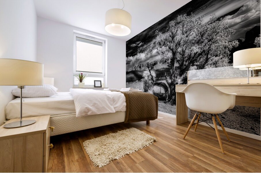 Bark and Cloud: A Monochrome Dialogue Mural print