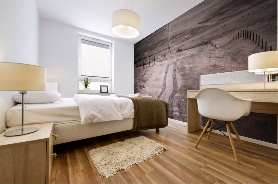 Paths of Yesterday Mural print