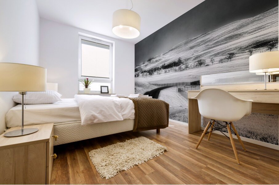 Journey Through the Infinite: An Eternal Horizon Mural print