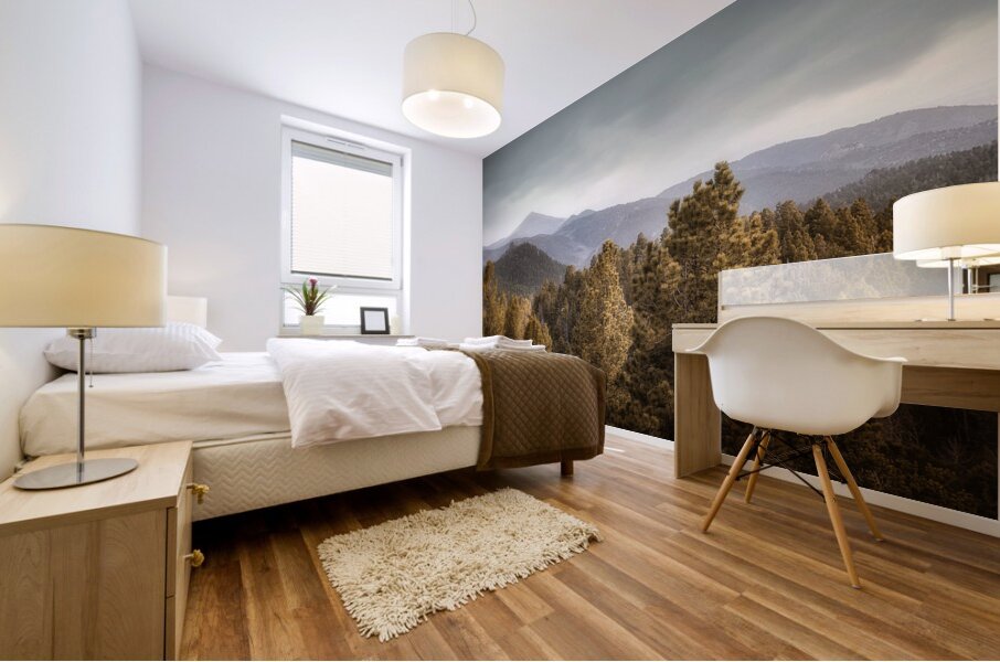 Mueller Aspen Series: Mountain View Mural print