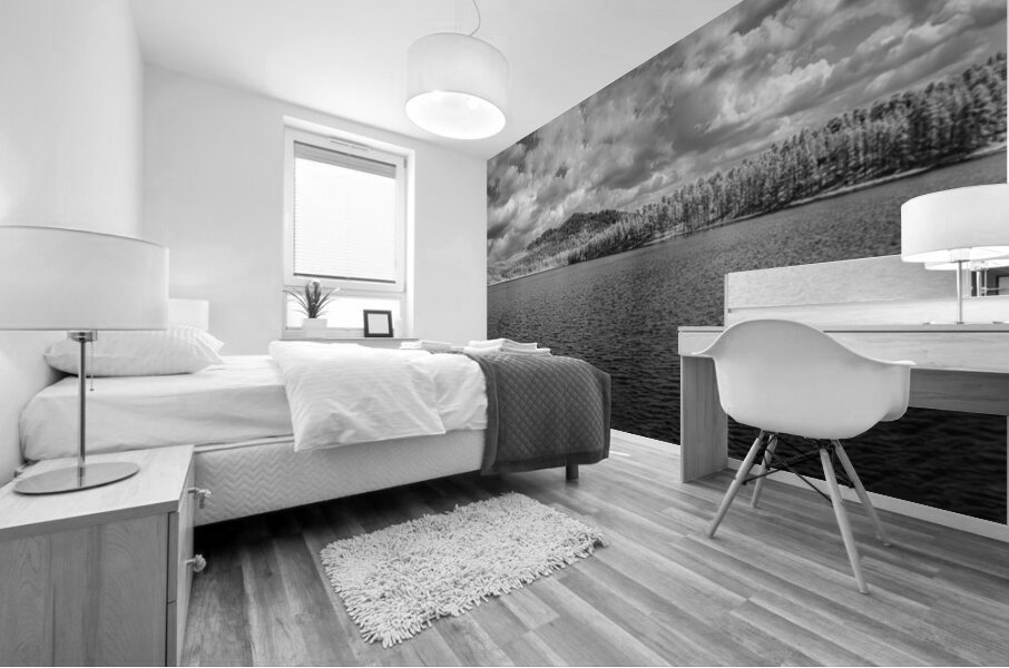 Monochrome Majesty: Capturing Stockade Lakes Moody Beauty in Inf Mural print