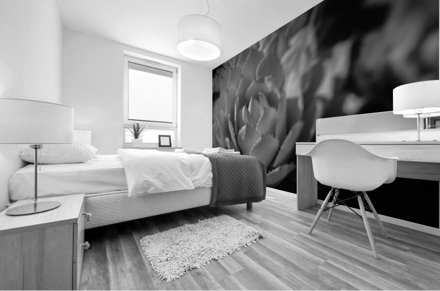 Natures Shadow Ballet Mural print