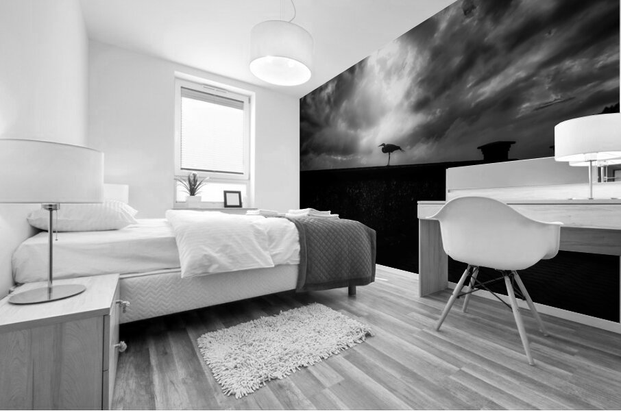 Rainy Day Stroll: Capturing Serenity with a Silhouetted Bird in  Mural print