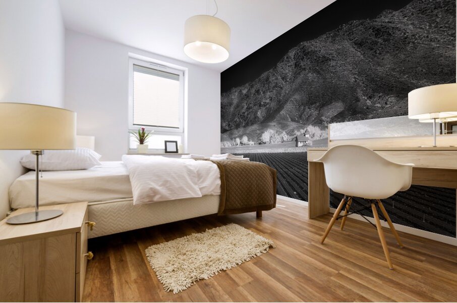 Fields of Infinite Solitude Mural print