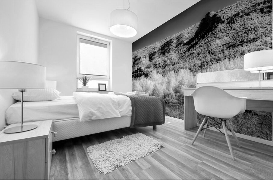 Chiaroscuro of the Forgotten Range Mural print