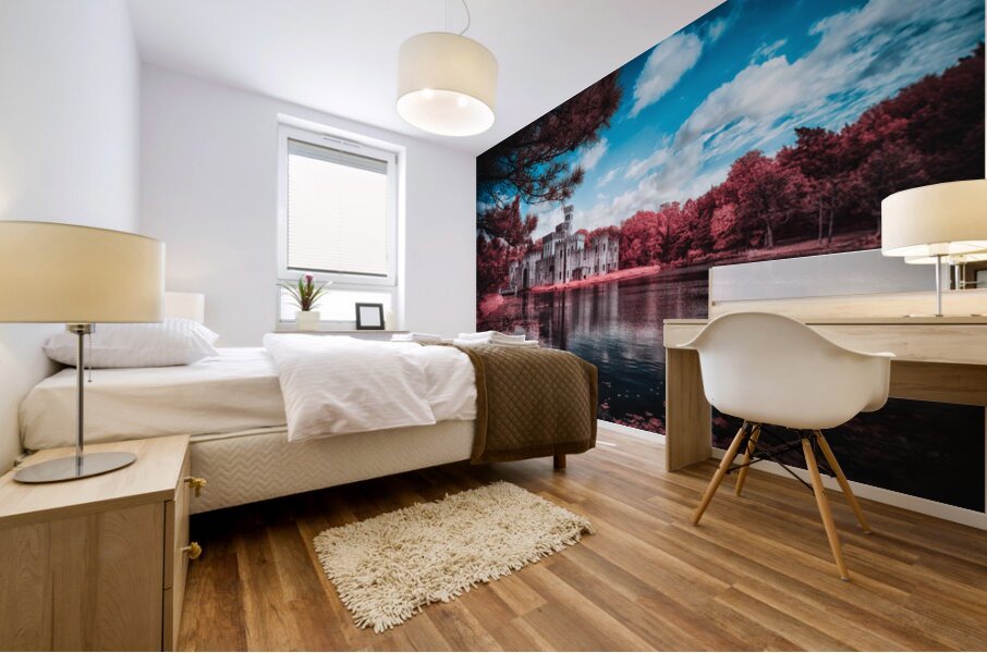 Castle Reflections Under a Texan Sky Mural print