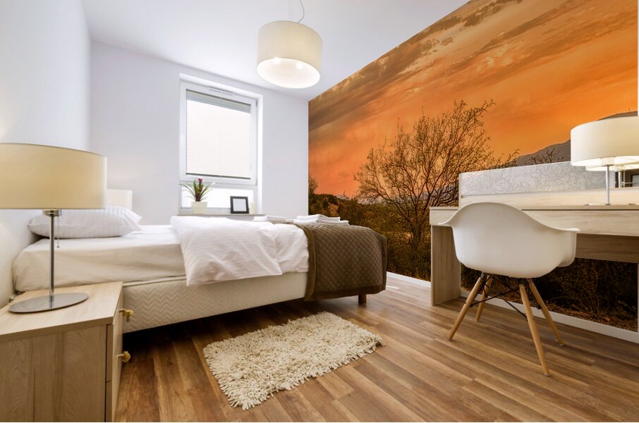 Eternal Calm of  Desert Hues Mural print