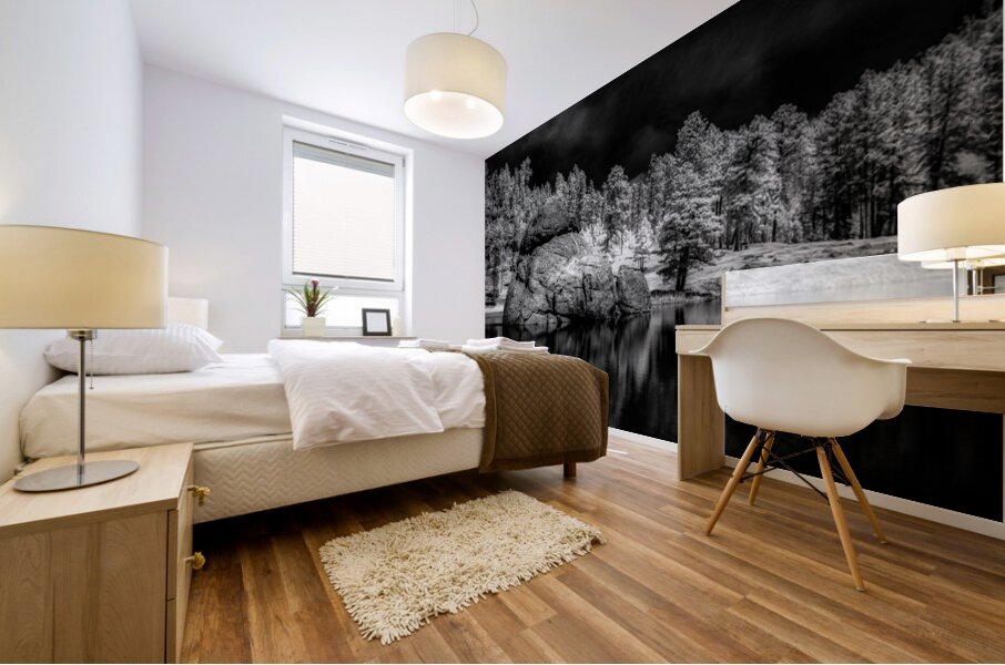 Enigmatic Elegance: Sylvan Lakes Monochrome Marvel Mural print