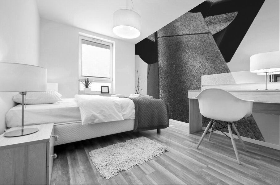 Irish Brigade Gettysburg 4 Mural print