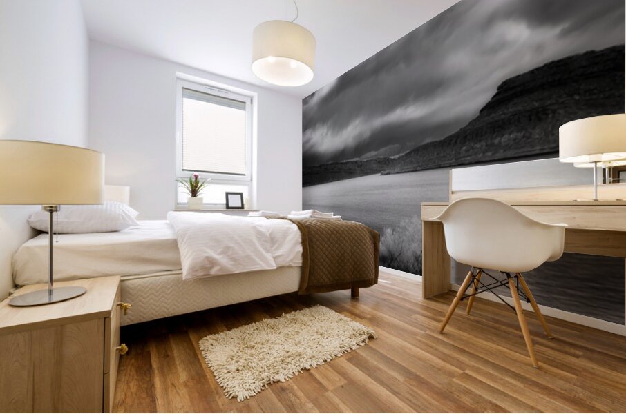 Desert Lake Storm Watch Mural print